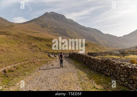 Une femelle randonneur sur un sentier connu sous le nom de Moïse suivait dans le Parc National de Lake District en Cumbrie, Angleterre, aux pics de Grand Gable à venir. Banque D'Images