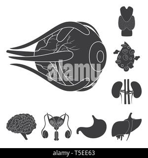 Globe oculaire,,dorsale,sang,rein,cerveau estomac foie,urinaire,,eye,plasma,spinal,esprit,system,tube,cornée,os,cell,renseignement,haricots,excrétrice,corps gastrique,muscle,couches,couvrir,transplant,science,vessie,recherche,de,laboratoire,Anatomie interne d'organes,médical,des,santé,biologie,scientifique,,set,icône,illustration,isolé,collection,design,élément,graphique,,signer,Black,de simples vecteurs vecteur , Illustration de Vecteur