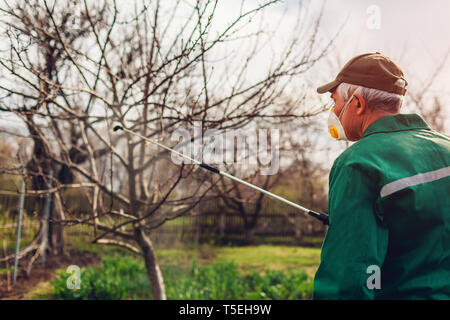 La pulvérisation avec de hauts arbres agriculteur manuel pulvérisateur de pesticides contre les insectes dans le jardin de printemps. Agriculture et jardinage concept Banque D'Images