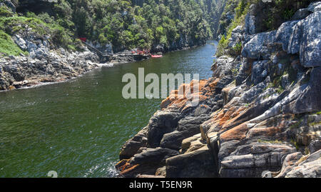 Bloukrans, près de Nature's Valley, Western Cape, Afrique du Sud. Banque D'Images