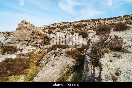 Robuste, éperon rocheux avec des dispersions de Heather par un beau matin ensoleillé dans le North York Moors en été, Goathland, Yorkshire, UK. Banque D'Images