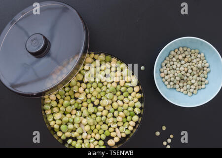 Appareil pour la germination des graines et l'obtention de germes utiles pour les salades Banque D'Images