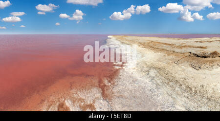 Syvash extrêmement salé Rose Lake, colorés par des microalgues avec dépôts de sel cristallin. Aussi connu comme la mer putride ou pourris mer. L'Ukraine, Kherson Re Banque D'Images