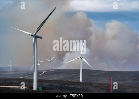 C'est de la rage de forêt s'étendant entre Knockando et Dunphail dans Moray, en Écosse, le mardi 23 avril 2019. Banque D'Images