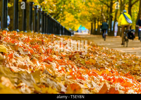 Selective focus, tas de feuilles d'automne avec constitution Hill Road de Londres dans l'arrière-plan Banque D'Images