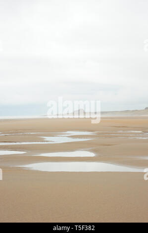 Vue sur Château De Bamburgh de la plage, Northumberland, England, GB, Europe Banque D'Images