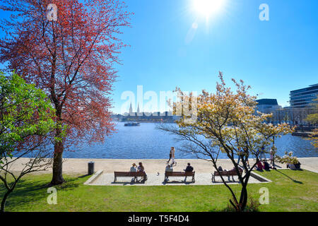 Lac Inner Alster à Hambourg, Allemagne, Europe Banque D'Images