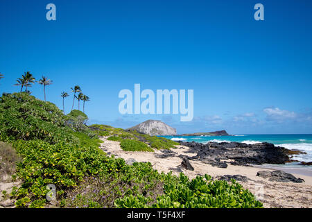 Vue sur la plage d'Oahu Makapuu Rabbit Island Banque D'Images