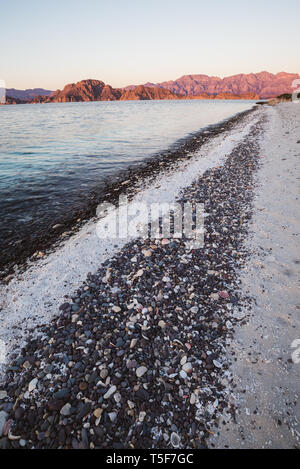 Shell & rochers sur la rive de l'Isla Carmen, de la Baie de Loreto Nat. Park, Baja California Sur, Mexique Banque D'Images