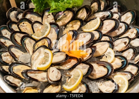 Moules bleues dans les fruits de mer sur ice buffet bar Banque D'Images