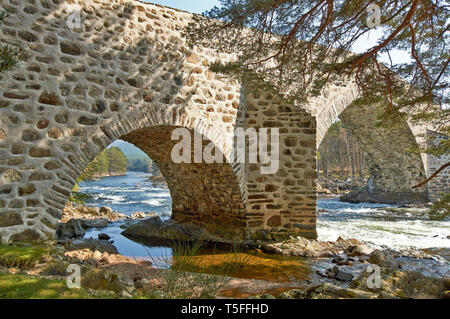 Pont INVERCAULD OU BRIG O' DEE ABERDEENSHIRE ECOSSE DEUX ARCHES DU PONT SUR LA RIVIÈRE DEE AU PRINTEMPS Banque D'Images