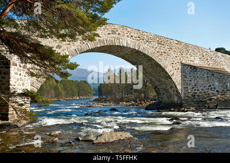 Pont INVERCAULD OU BRIG O' DEE ABERDEENSHIRE ECOSSE VUE EN AVAL DE LA RIVIÈRE DEE ET L'ESPACE RURAL PAR UNE ARCHE Banque D'Images