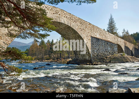 Pont INVERCAULD OU BRIG O' DEE ABERDEENSHIRE ECOSSE VUE EN AVAL DE LA RIVIÈRE DEE À TRAVERS UNE ARCHE Banque D'Images