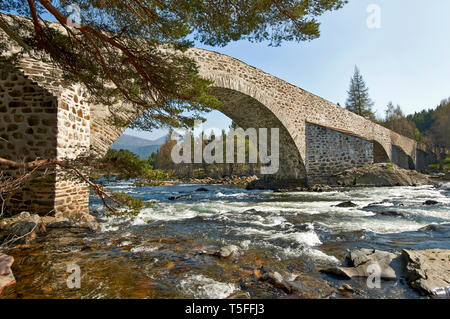 Pont INVERCAULD OU BRIG O' DEE ABERDEENSHIRE ECOSSE VUE EN AVAL DE LA RIVIÈRE DEE SOUS UNE ARCHE Banque D'Images