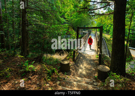 Femme de traverser un pont dans le pèlerinage de Kumano Kodo trek, Japon Banque D'Images