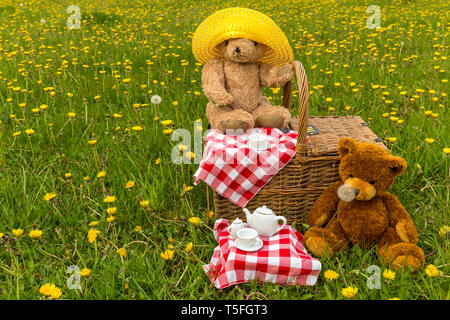 Teddy Bear's Picnic dans un pré vert avec des fleurs jaunes. Panier en osier traditionnel et vichy rouge nappe. L'horizontale. Concept : l'enfance Banque D'Images