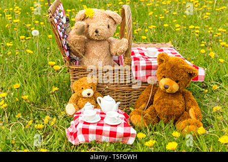 Teddy Bear's Picnic dans un pré vert avec des fleurs jaunes. Panier en osier traditionnel et vichy rouge nappe. L'horizontale. Concept : l'enfance Banque D'Images