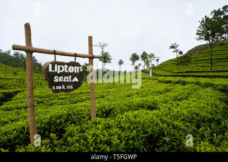 SRI LANKA, HAPUTALE - avril 18, 2018 : route de célèbre la plantation de thé Lipton appelé siège. Banque D'Images