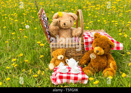 Teddy Bear's Picnic dans un pré vert avec des fleurs jaunes. Panier en osier traditionnel et vichy rouge nappe. L'horizontale. Concept : l'enfance Banque D'Images