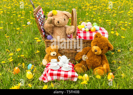 Teddy Bear's Picnic dans un pré vert avec des fleurs jaunes. Panier en osier traditionnel et vichy rouge nappe. L'horizontale. Concept : l'enfance Banque D'Images