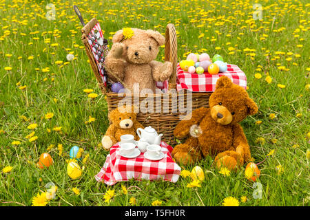 Teddy Bear's Picnic dans un pré vert avec des fleurs jaunes. Panier en osier traditionnel et vichy rouge nappe. L'horizontale. Concept : l'enfance Banque D'Images