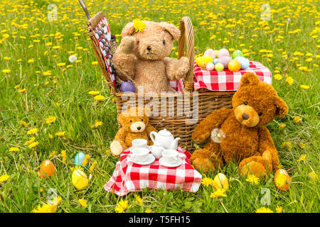 Teddy Bear's Picnic dans un pré vert avec des fleurs jaunes. Panier en osier traditionnel et vichy rouge nappe. L'horizontale. Concept : l'enfance Banque D'Images