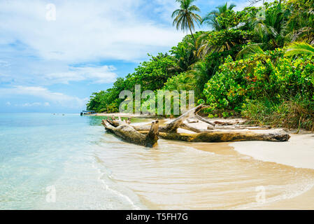 Panama, Bocas del Toro, Cayo Zapatilla, plage Banque D'Images