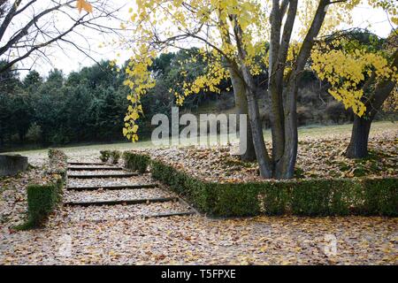 Escaliers et les arbres dans un parc en automne, plein de feuilles Banque D'Images