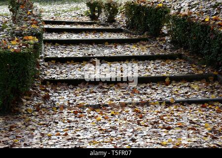 Escaliers dans un parc en automne, plein de feuilles Banque D'Images