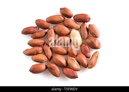 Composition des cacahuètes isolé sur fond blanc Banque D'Images