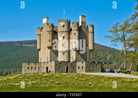 BRAEMAR ABERDEENSHIRE ECOSSE BRAEMAR CASTLE ET BANQUES DE JONQUILLES AU PRINTEMPS Banque D'Images