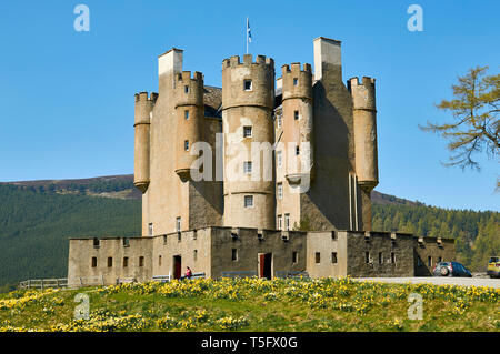 BRAEMAR ABERDEENSHIRE ECOSSE BRAEMAR CASTLE AVEC LES BANQUES DE JONQUILLES AU PRINTEMPS Banque D'Images