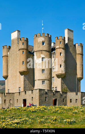 BRAEMAR ABERDEENSHIRE ECOSSE BRAEMAR CASTLE AVEC LES BANQUES DE JONQUILLES AU PRINTEMPS Banque D'Images