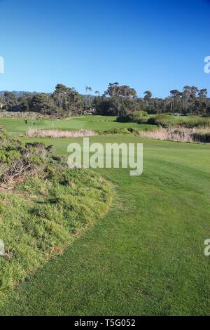 Le Comté de Monterey, USA - 7 avril 2014 : Pebble Beach Golf Links en Californie. C'est l'un des plus célèbres parcours de golf avec PGA Tour et du Champions Tour Banque D'Images