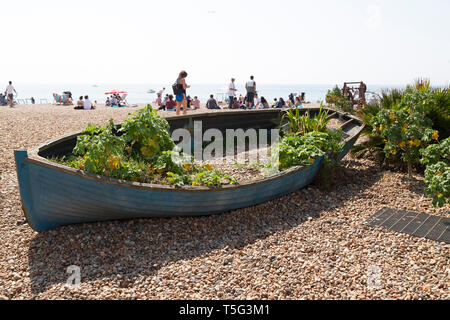 Bateau en bois sur la plage près de Musée de la pêche de Brighton dans l'East Sussex, Angleterre. La verdure est affiché dans le bateau. Banque D'Images