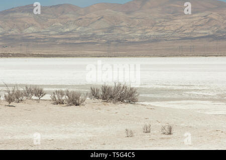 Croûte de sel de Soda Lake sur la faille de San Andreas, Carrizo Plain National Monument (Californie). Photographie numérique Banque D'Images