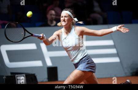 Stuttgart, Allemagne. Apr 24, 2019. Tennis : WTA-Tour - Grand Prix Porsche Stuttgart, des célibataires, des femmes, 1er tour, Zvonareva (Russie) - Azarenka (Bélarus) Victoria Azarenka en action. Credit : Marijan Murat/dpa/Alamy Live News Banque D'Images