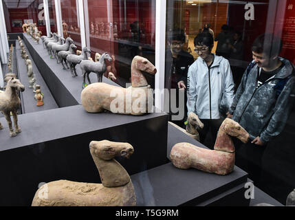 Beijing, Chine. Apr 24, 2019. Les reliques culturelles au Musée national de Chine à Beijing, capitale de Chine, le 24 avril 2019. Les vestiges culturels chinois de rentrer d'Italie sont au Musée national de Chine à Beijing du 24 avril au 30 juin. L'exposition, intitulée "Le voyage de retour" présente plus de 700 pièces d'objets chinois retourné. Crédit : Li il/Xinhua/Alamy Live News Banque D'Images