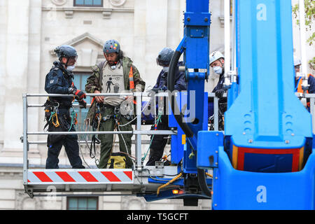 Westminster, London, UK, 24 avril 2019. Déposer la disparition finale de la police rébellion protestataire. deuxième de gauche, qui campaient là-haut, dans un arbre sur la place du Parlement pendant plusieurs jours. Une grue hydraulique avec plusieurs policiers dans le matériel d'escalade prend le manifestant, deuxième à gauche, jusqu'au sol, où il est arrêté et conduit à l'écart. Credit : Imageplotter/Alamy Live News Banque D'Images