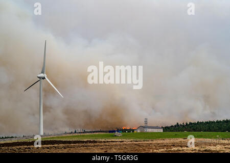 C'est de la rage de forêt s'étendant entre Knockando et Dunphail dans Moray, en Écosse, le mardi 23 avril 2019. Banque D'Images