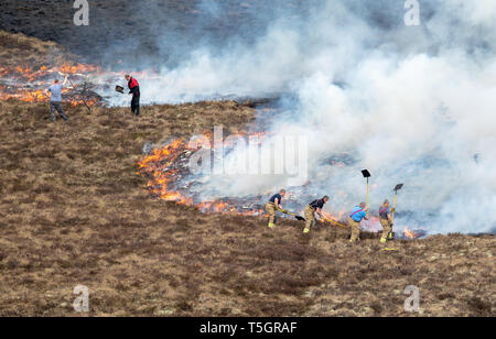 C'est de la rage de forêt s'étendant entre Knockando et Dunphail dans Moray, en Écosse, le mardi 23 avril 2019. Banque D'Images