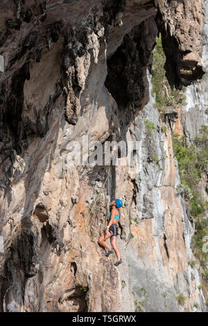 La Thaïlande, Krabi, Lao Liang, woman climbing dans Rock Wall Banque D'Images