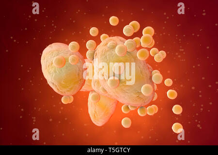 Illustration en rendu 3D, la visualisation des cellules graisseuses et de colmatage dans le corps humain Banque D'Images