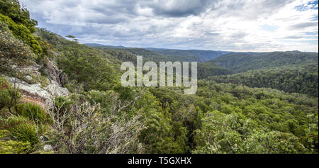 Vue spectaculaire sur l'escarpement et vallée profonde vêtue de Gondwana Rainforest de la Nouvelle Angleterre High Country en NSW, Australie Banque D'Images