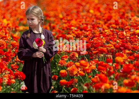 Cute kid merveilleuse fille enfant marche dans une prairie au printemps floraison Banque D'Images