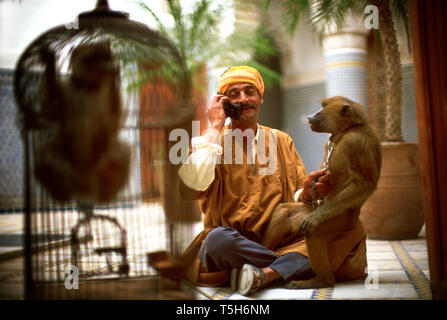 Mid-adult man sitting dans une cour avec un singe sur son genou qu'il parle au téléphone cellulaire. Banque D'Images