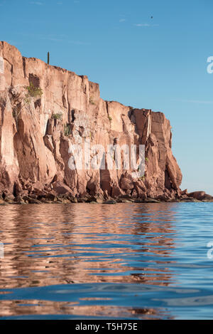 Sea Cliff et la réflexion, l'île d'Espiritu Santo, Baja California Sur, Mexique Banque D'Images