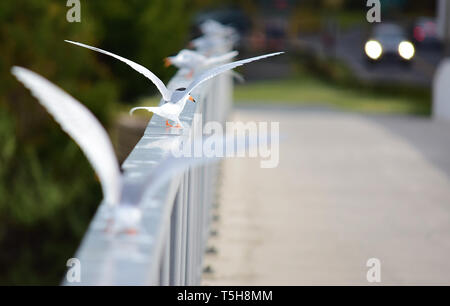 Illustration de la sterne commune atterrissage sur bridge railing Banque D'Images