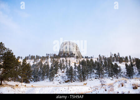 Devil's Tower en hiver, Wyoming Banque D'Images