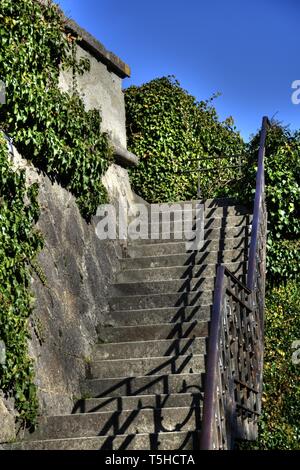 Stiege, Treppe, centre Niveaux proposés, Geländer, Freiluft, Schmiedeeisen, Beton, Stein, verwachsen, Buch, Kletterpflanze, Strauch, Parc, le Schlosspark, Schloss Ambras, Banque D'Images